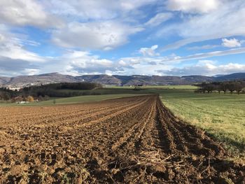 Scenic view of agricultural field against sky