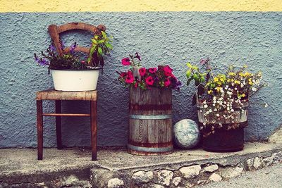 Potted plant on wall