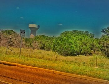 Street light and trees against blue sky