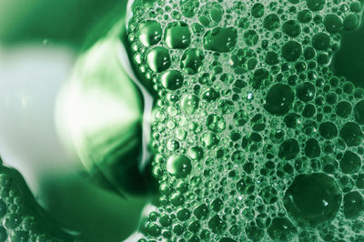 Close-up of bubbles in water