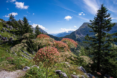 Scenic view of mountain against sky