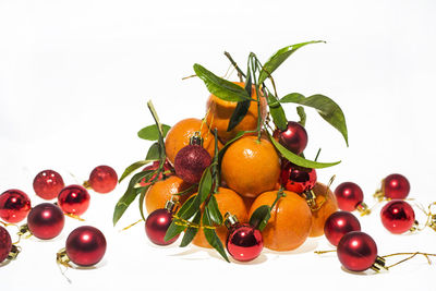 Close-up of tomatoes against white background