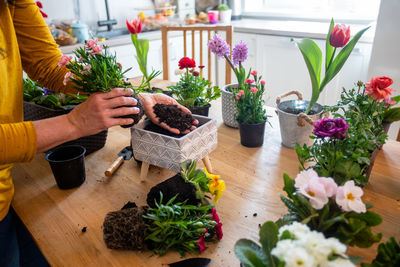 Woman holding flower pot on table