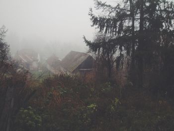 Building with trees in background