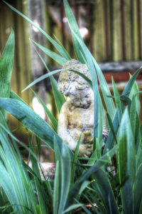 Close-up of lizard on statue