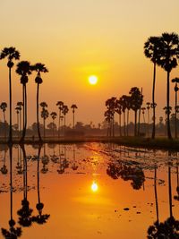 Silhouette palm trees by lake against sky during sunset