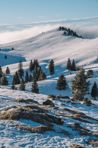 Snow covered landscape against sky during winter