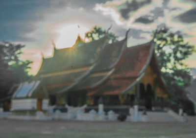 Plants and trees against sky during sunset