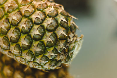 Pineapple on a smooth reflection surface