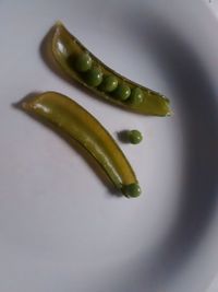 High angle view of chili peppers in plate