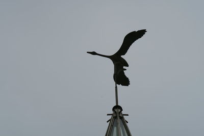 Low angle view of bird perching on silhouette pole against clear sky