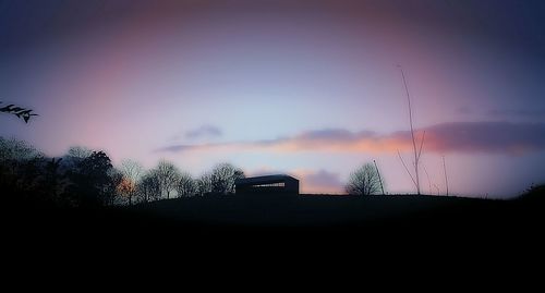 Silhouette trees against sky during sunset