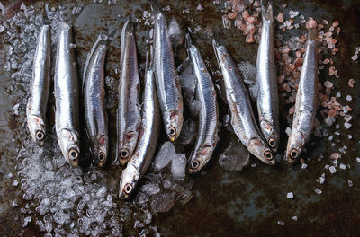 High angle view of fish for sale