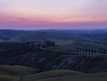 Rows of cypress trees growing along country road at sunset