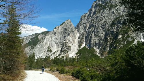 Rear view of person walking towards mountains in forest