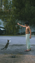 Nephew playing with his beloved cat called 'bunga'