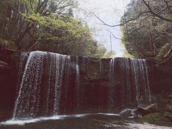 Scenic view of waterfall in forest