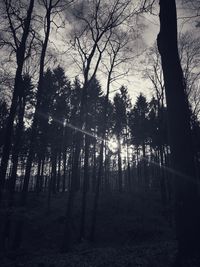 Silhouette trees in forest against sky