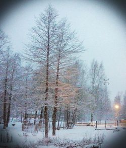 Scenic view of snow covered landscape