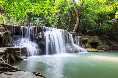 Scenic view of waterfall in forest