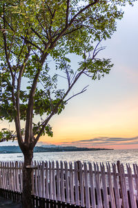 Scenic view of sea against sky at sunset