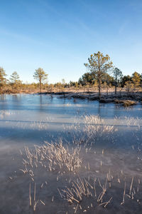 Scenic view of lake against clear sky