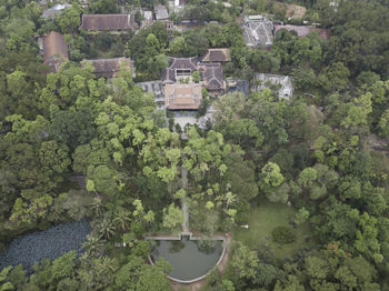 High angle view of trees on field