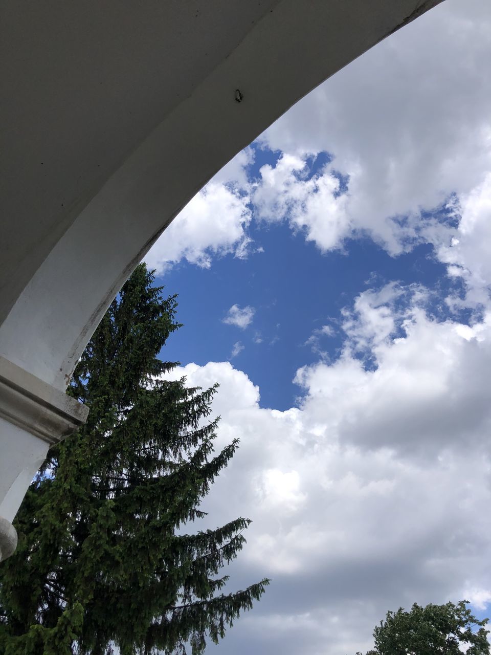 LOW ANGLE VIEW OF TREE AND BUILDING AGAINST SKY