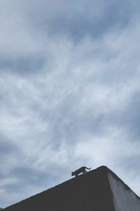 Low angle view of bird perching on roof against sky