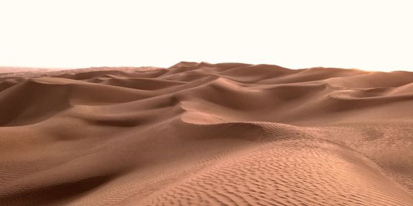 Scenic view of sand dunes in desert