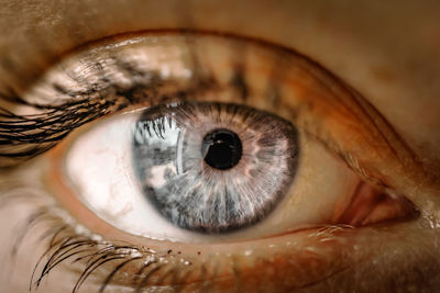 Close-up of human eye