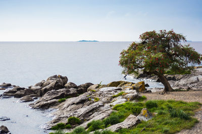 Scenic view of sea against clear sky