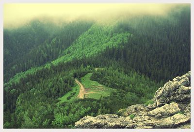 Scenic view of agricultural field