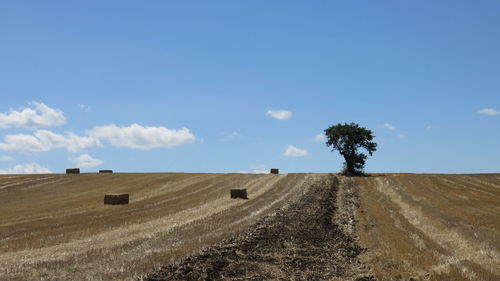 Hay bales on landscape against blue sky