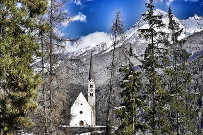 Panoramic view of trees and buildings against sky