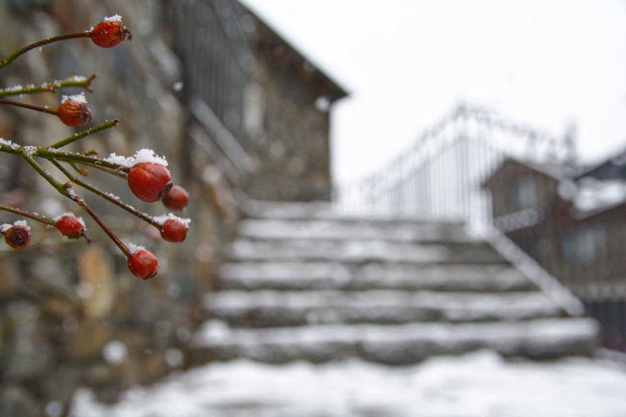 LOW ANGLE VIEW OF SNOW ON RED WINTER