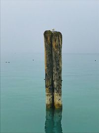Close-up of bird perching on wooden post in sea against sky