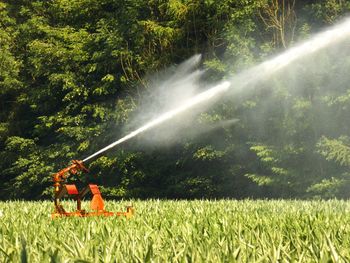 Sprinkler spraying water on field