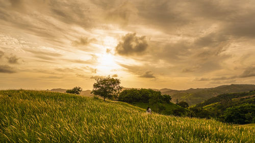 Scenic view of field against sky during sunset