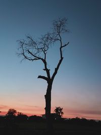 Silhouette bare tree against sky during sunset