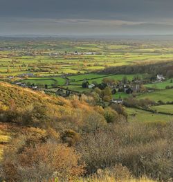 Evening sunlight across the somerset levels.