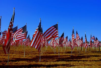 American flags on field against clear blue sky