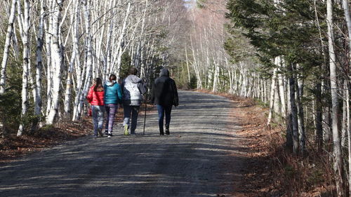 People walking on road in forest