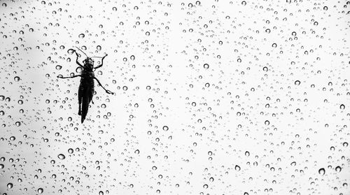 Water drops on glass against window