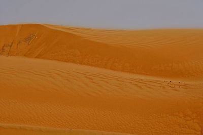 Scenic view of desert against sky