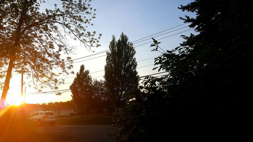 Sun shining through trees