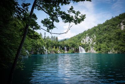 Scenic view of lake in forest against sky