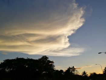 Low angle view of silhouette trees against sky