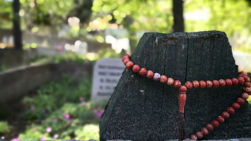 Close-up of rosary on a wooden tombstone