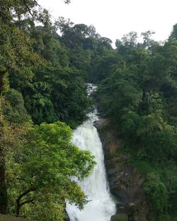 Scenic view of waterfall